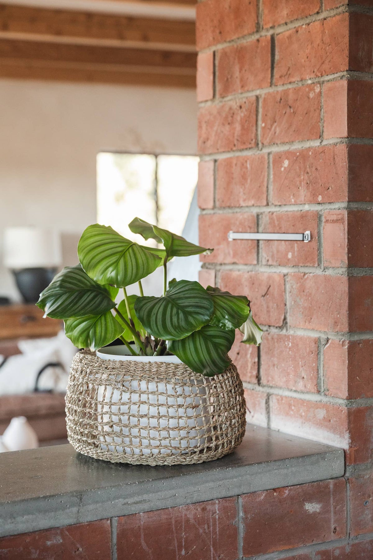 A green leafy houseplant in a round woven natural-fiber basket planter, placed on a stone or concrete ledge beside a red brick wall in an indoor setting.