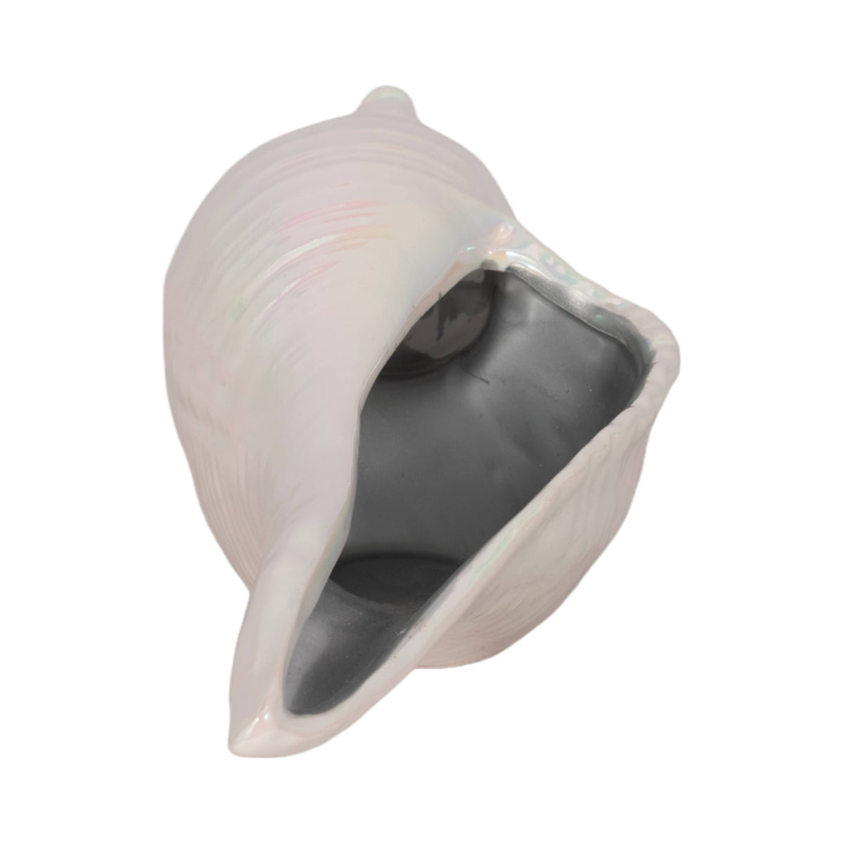 A white conch shell bowl with a glossy, iridescent finish, shown on a solid white background.