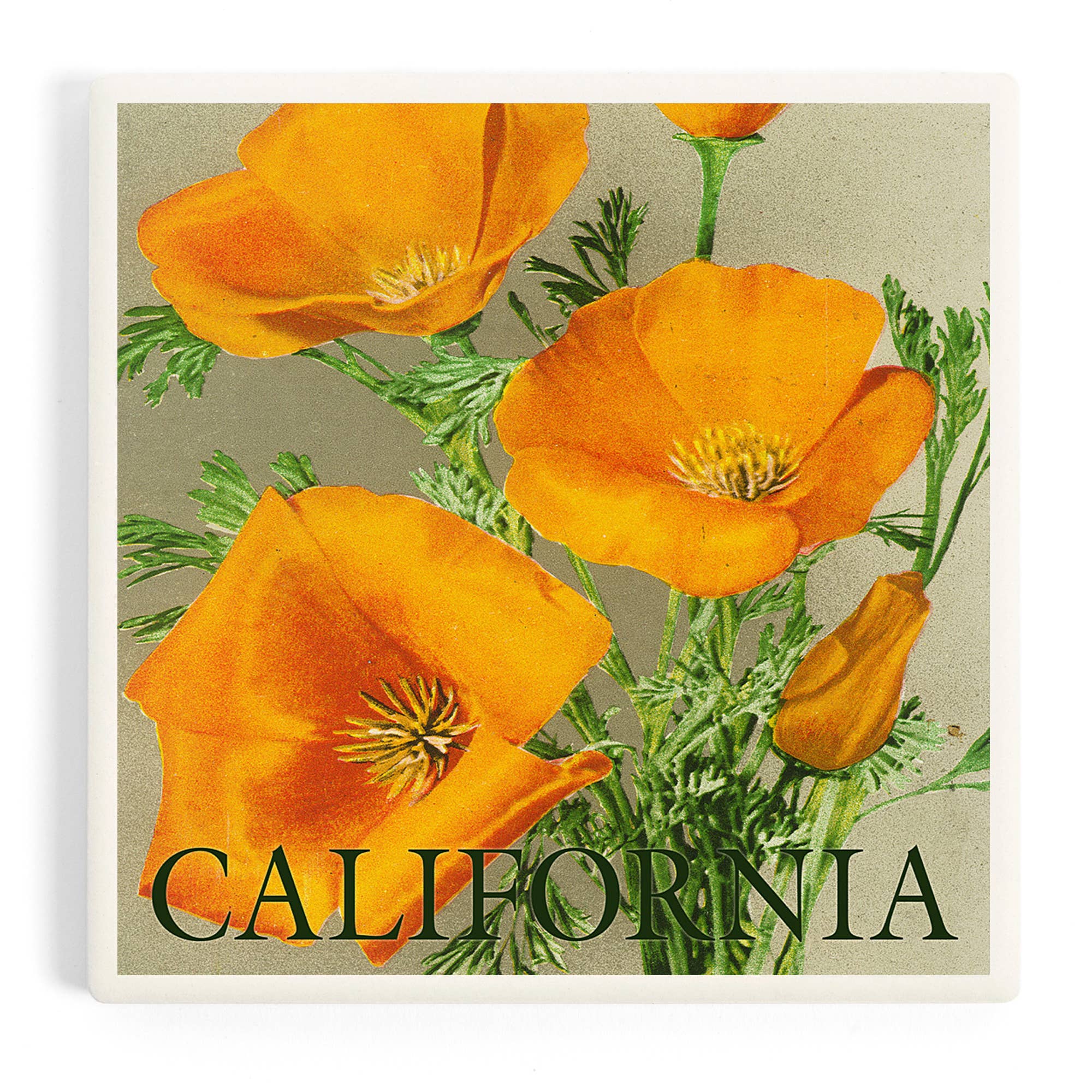 Square wall art print featuring a vintage-style botanical illustration of orange California poppies on a muted beige background, with the word "CALIFORNIA" in dark green serif lettering at the bottom.