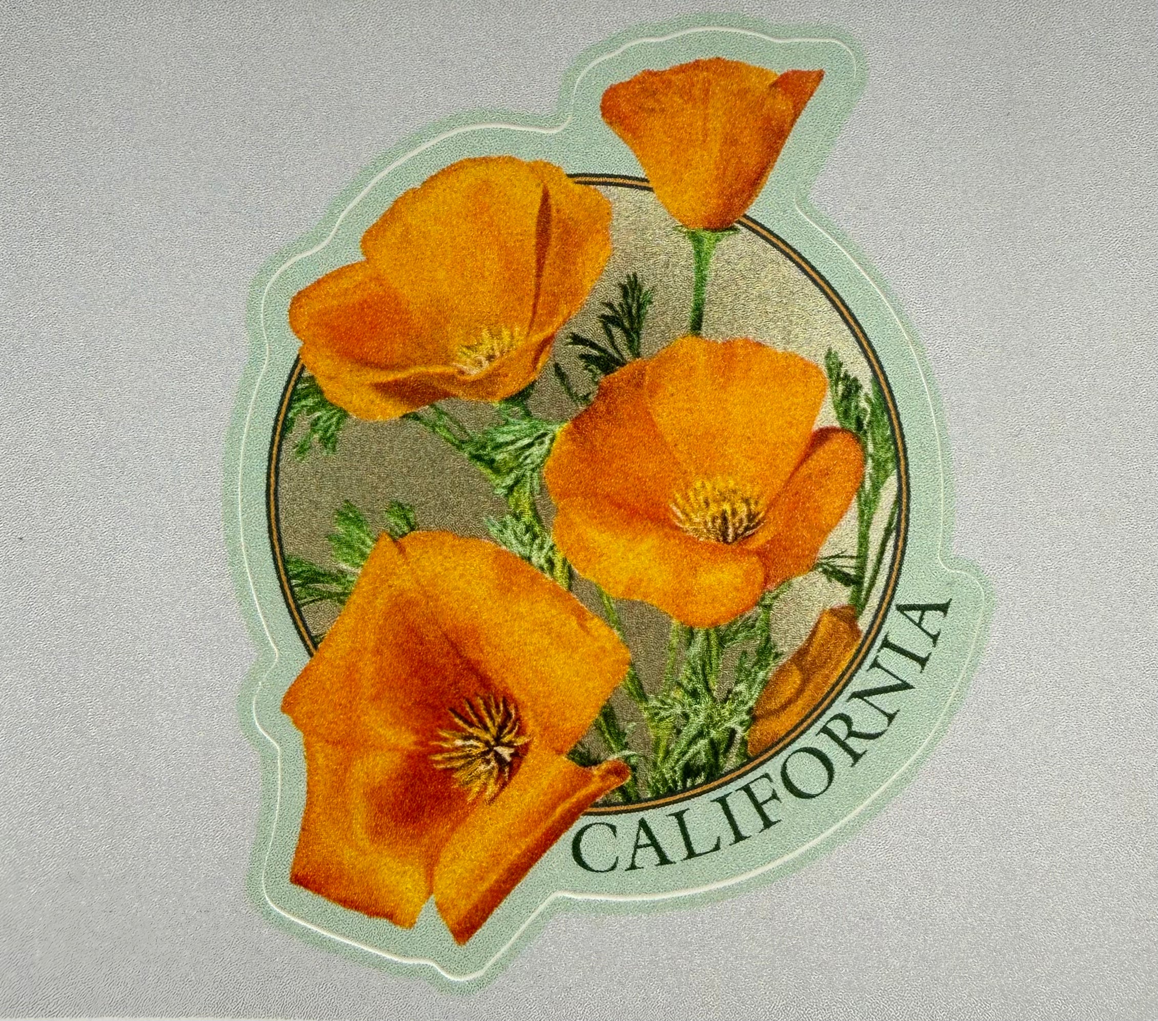 LANTERN PRESS STICKERS