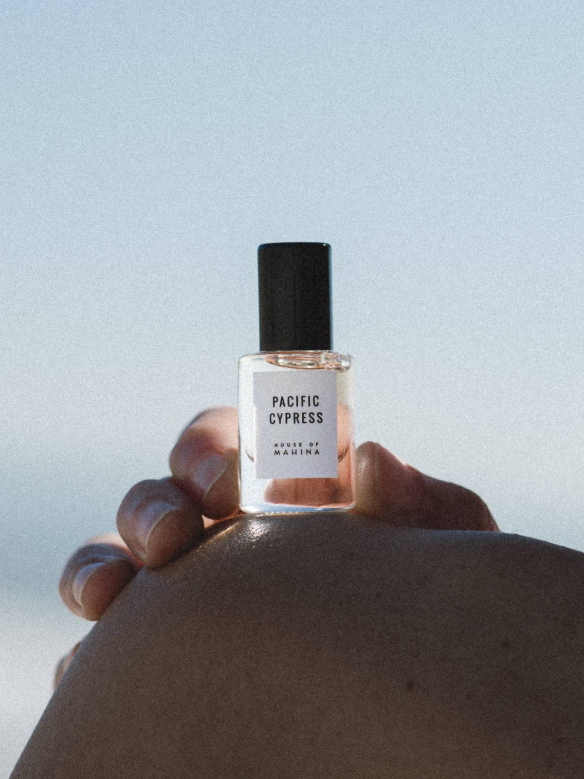 Pacific Cypress Perfume Oil 5ml