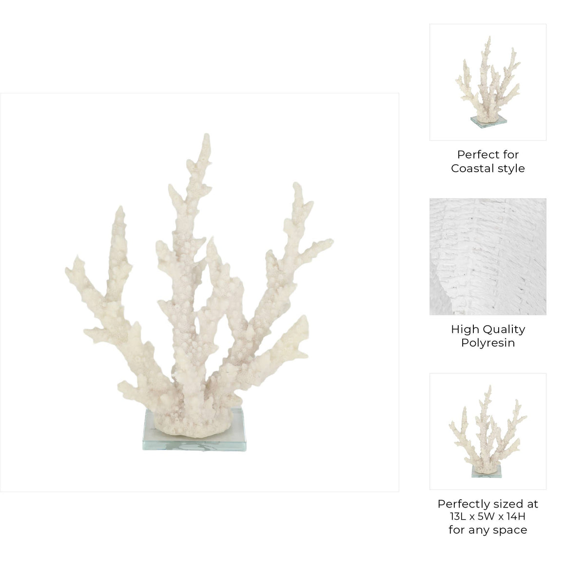 Decorative white coral branch on a white background with text highlighting features.